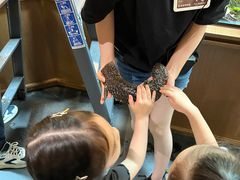 -帕帕拉兹宠物(亚洲旗舰店)