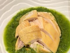 -青雅中餐厅(大连金石滩绿发希尔顿度假酒店)