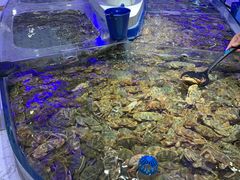 -澜悦港海鲜体验主题餐厅