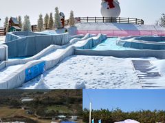 -盈香心动乐园