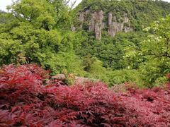 -丹山赤水风景名胜区