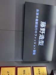 点击看大图 -藤野造型