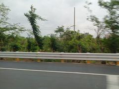 -大润发(国兴店)