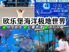 -泉城欧乐堡海洋极地世界