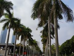 -厦门大学(思明校区)