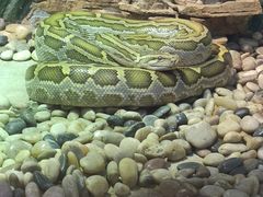 -石家庄市动物园