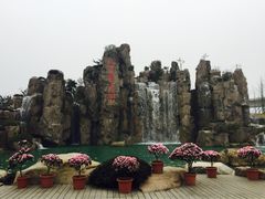 iphone_upload_pic-秀丽东方