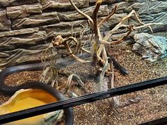 -zoonana室内动物园(东方福来德店)