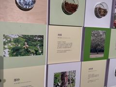 -中国湿地博物馆