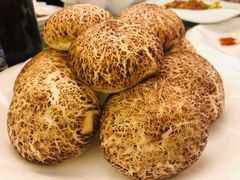 -君临七星生态酒店