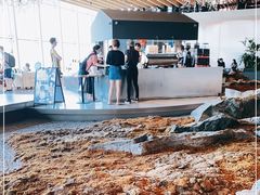 -Seesaw Coffee(朝阳大悦城店)