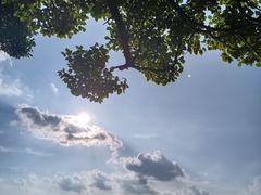 -洛龙公园