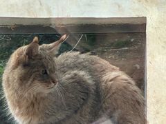 -青藏高原野生动物园
