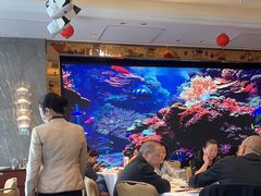 -金苑海鲜酒家(来魅力店)