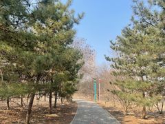 -太阳宫足球俱乐部
