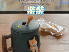 -柴犬高等学院·狗咖·柴犬售卖·宠物训练