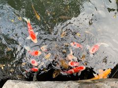 -新荣记(西溪湿地店)