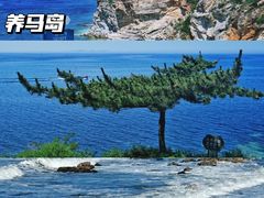 -蓬莱阁景区