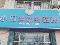 -小叮当动物医院·骨科·眼科