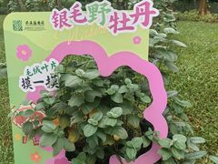 -云溪植物园