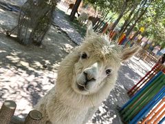 -水上乐园·欢乐世界