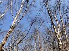 -白草畔自然风景区