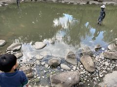 -苏州河梦清园环保主题公园