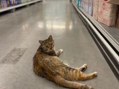 -麦德龙(京顺路商场店)