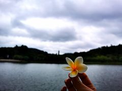 -南国桃园旅游度假区