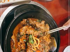 -火焰金龟甲(汉阳江滩旗舰店)