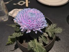 -茶人村·前滩江景雅宴(上海首店)