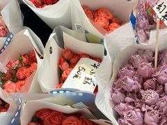 -三圣花乡旅游区