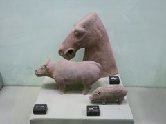 -古陶文明博物馆