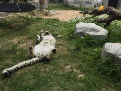 -青藏高原野生动物园