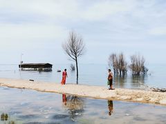 -青海湖国家重点风景名胜区