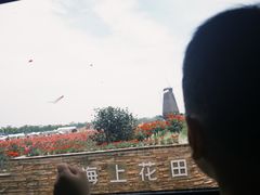 -漩门湾国家湿地公园