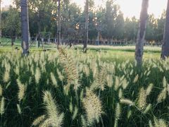 -汉长安城未央宫国家考古遗址公园