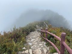 -白草畔自然风景区