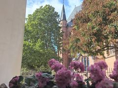 -Restaurant Paulaner am Dom