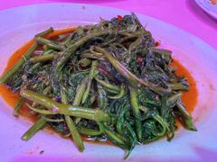 -旗鱼海番村(Orang Asli)