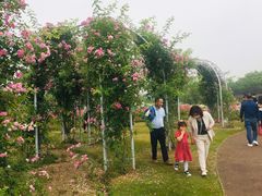 -尚贤河湿地