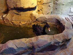 -酷嗒动物文化乐园(cutezoo西溪乐天城店)