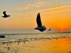 -老虎石海上公园