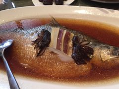 -苏浙汇(朝外店)