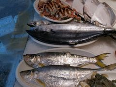 勒鱼-小厨师·二十年沈家门小海鲜(百井坊巷店)
