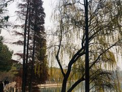 -天目湖山水园