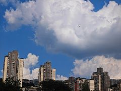 -沐仙湖湿地公园