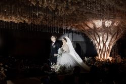 -MuseMarry婚纱(前海嘉里中心店)