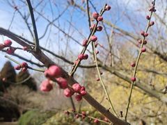 -白塘生态植物园