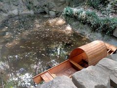 -上海佘山国家森林公园天马山园